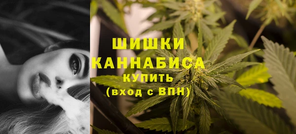 бошки Пересвет