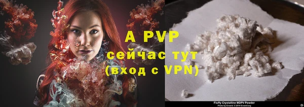 бошки Пересвет