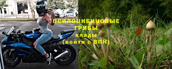бошки Пересвет