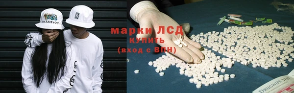 СК Покачи