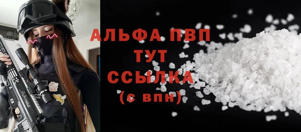 СК Покачи