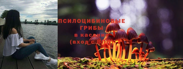 СК Покров