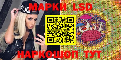 стаф Абакан
