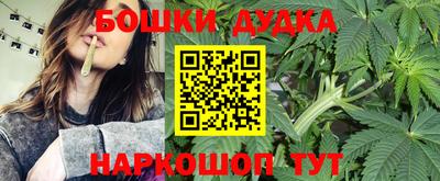 стаф Абакан