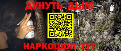 стаф Абакан