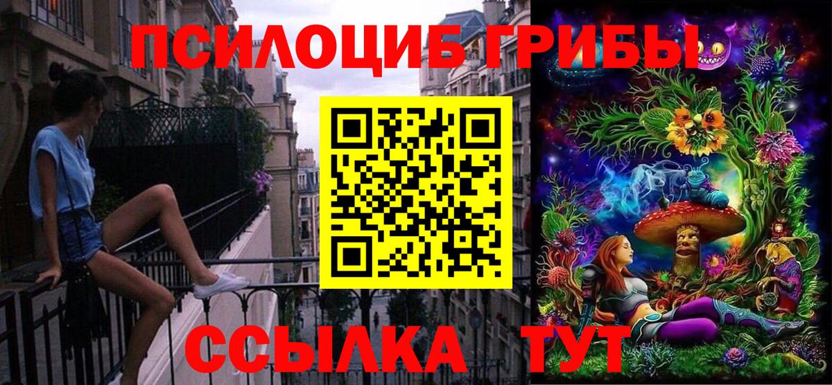 закладка  Галлюциногенные грибы мицелий  Вход с VPN  Алексин 