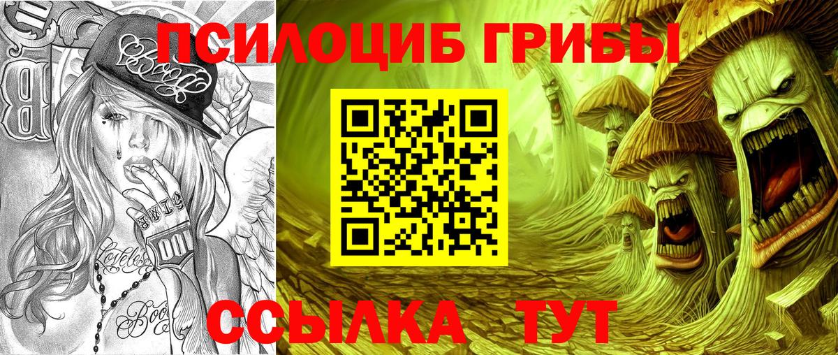Галлюциногенные грибы Psilocybe  хочу   Алексин  Вход с VPN 