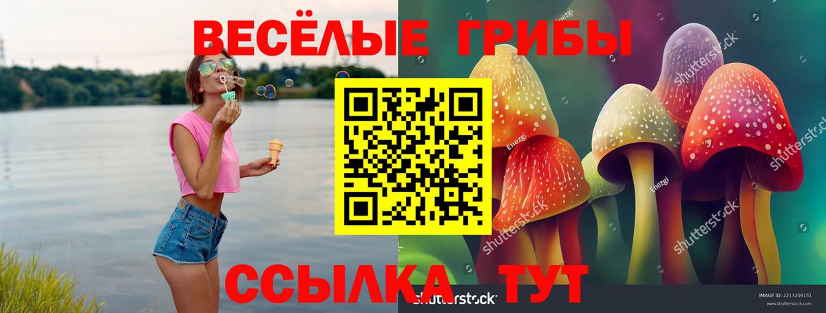 Галлюциногенные грибы Psilocybe Алексин